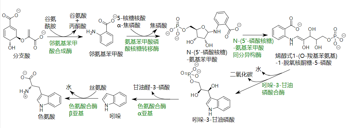 香精與香料(12)-琥珀香,動物香,辛香,豆香(包括粉香)