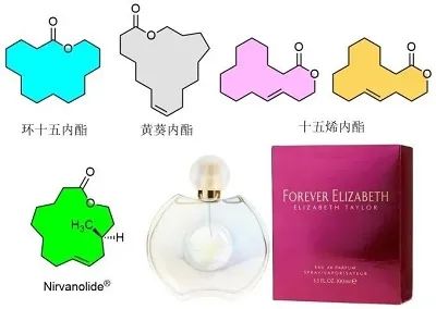 香精與香料(17)-香型與分子結構特征的關系