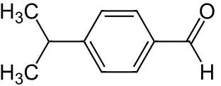 香精與香料(40)—小茴香醛與小茴香