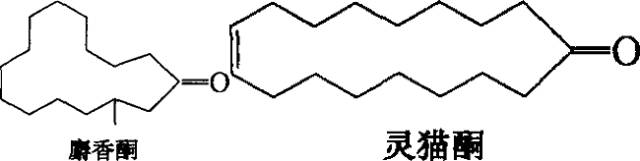 香水的香氣從何而來(lái)？