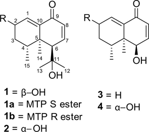 香精與香料(104)—甘松