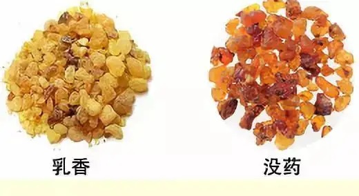 乳香，Boswellia Carterri Birdw 橄欖科