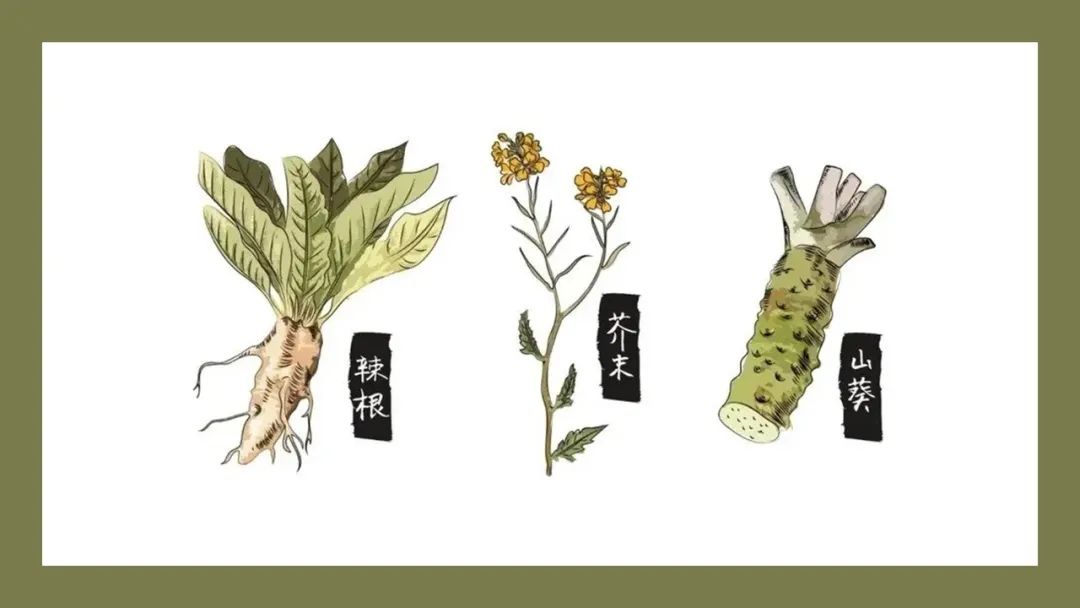 香精與香料(147)—芥末