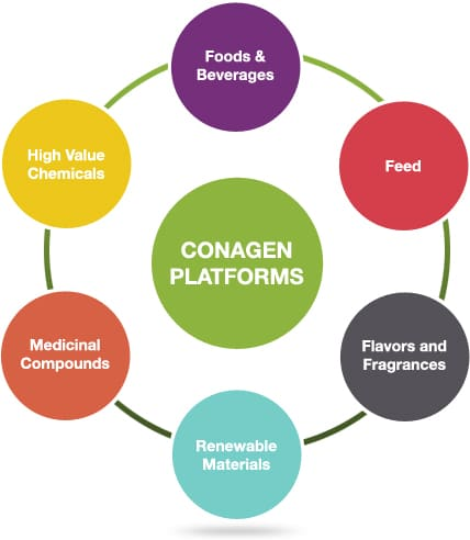 香料香精高新企業簡介(2)——Conagen