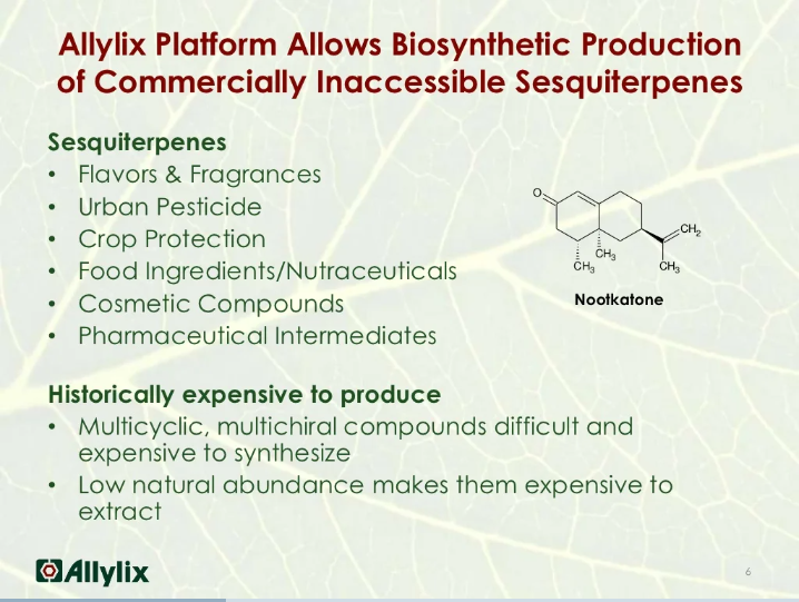 香料香精高新企業簡介(5)——Allylix